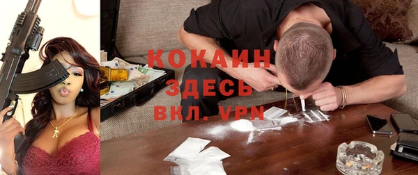 ПСИЛОЦИБИНОВЫЕ ГРИБЫ Елизово